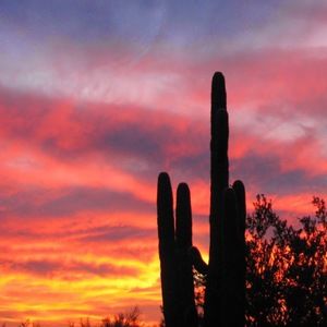 Meet your Posher, Sharyn